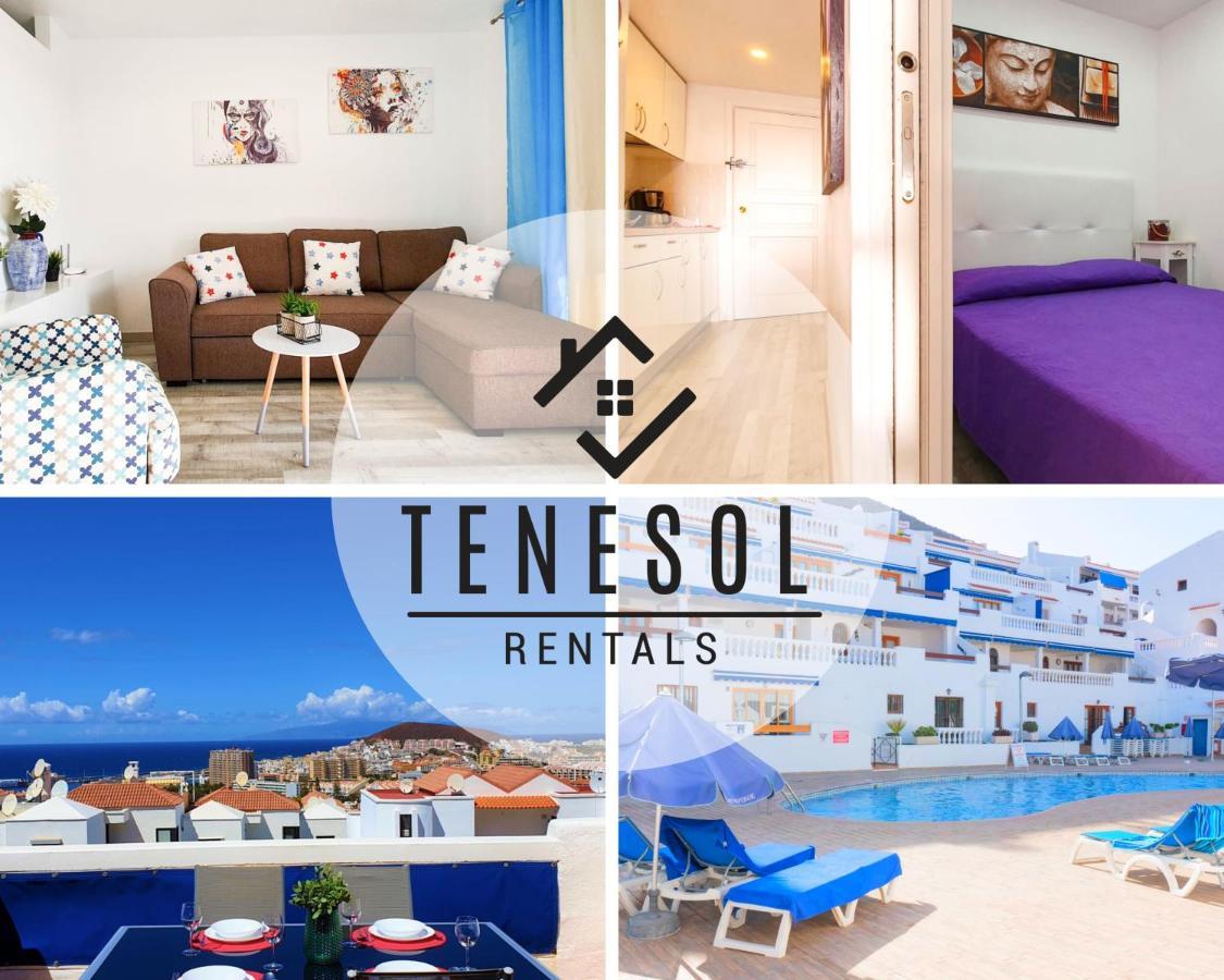 Appartamento Port Royal 1 Bedroom - Tenesol